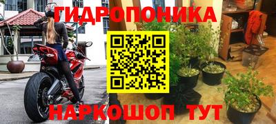 прущая мука Гусев
