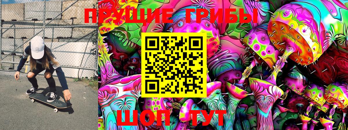 Галлюциногенные грибы Magic Shrooms  Вход с VPN  закладки  Кинель 